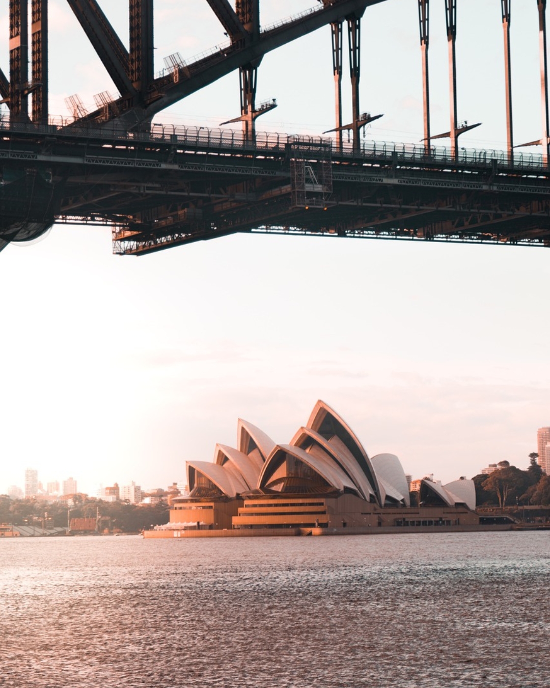 Wholesaler Food Supplier Sydney
