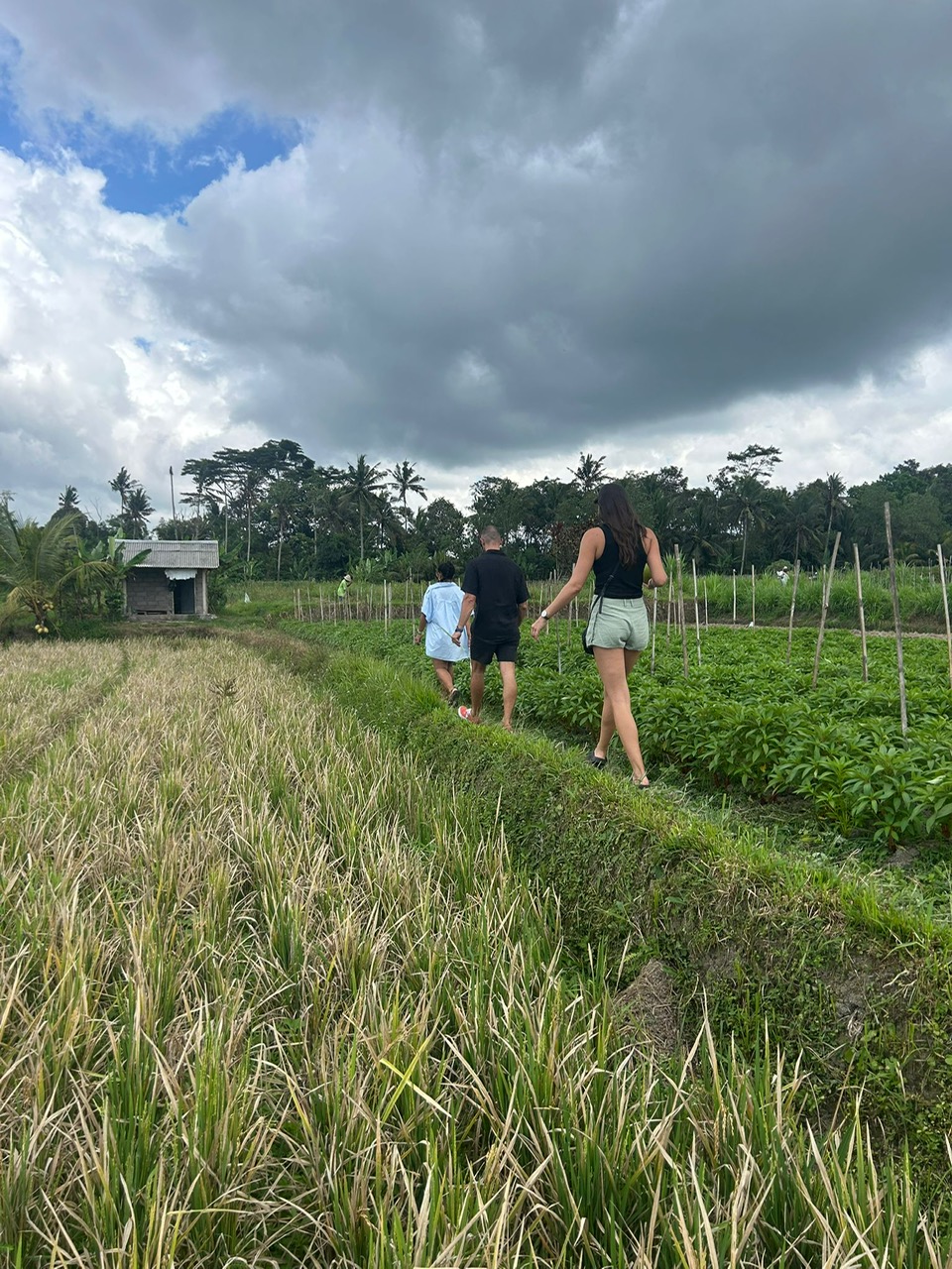 image-7828c29c-6bea-4387-8131-c32ab3eadaee