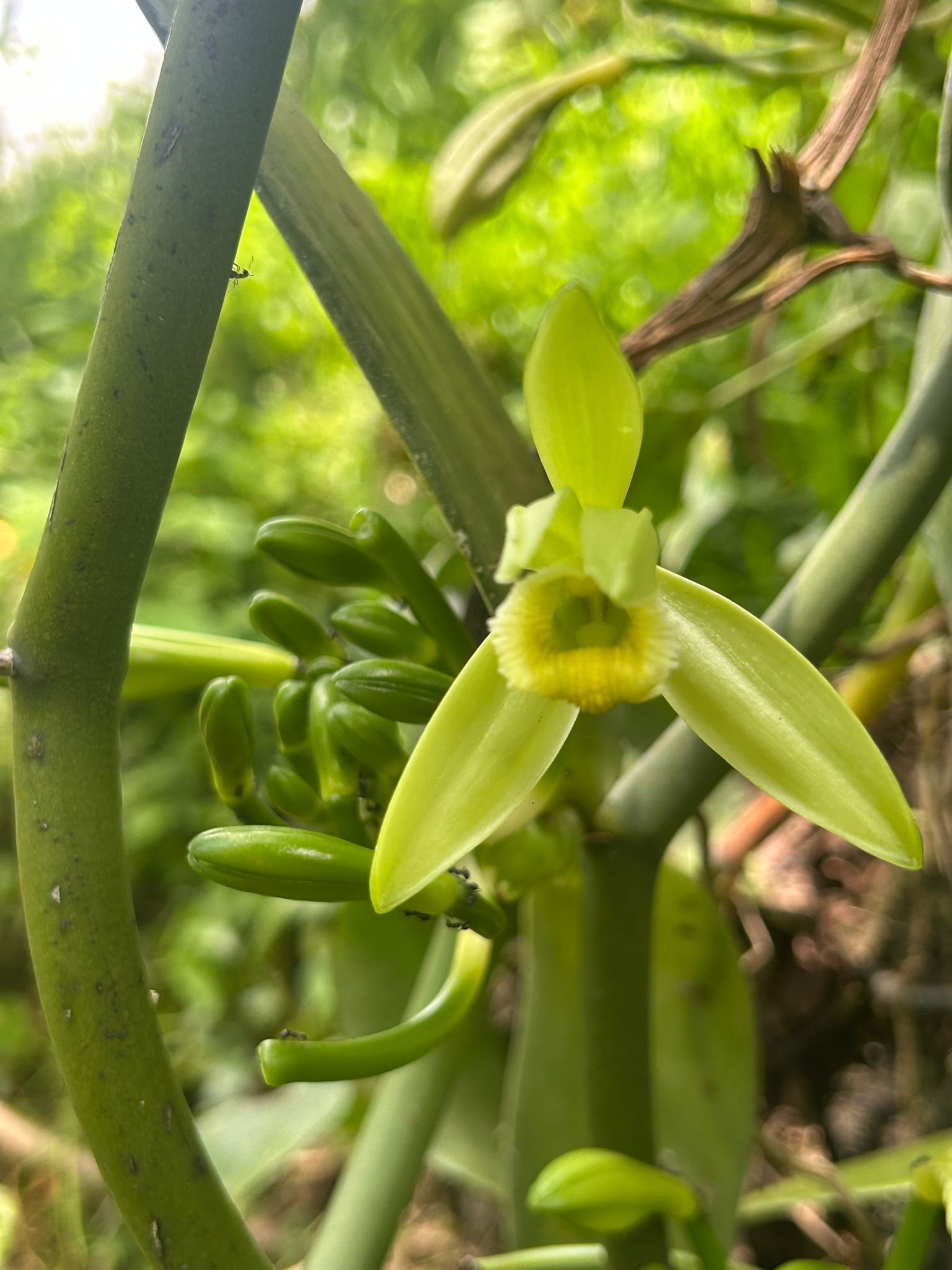 image-8f218c5c-03ee-4b6d-9752-1289f7324435