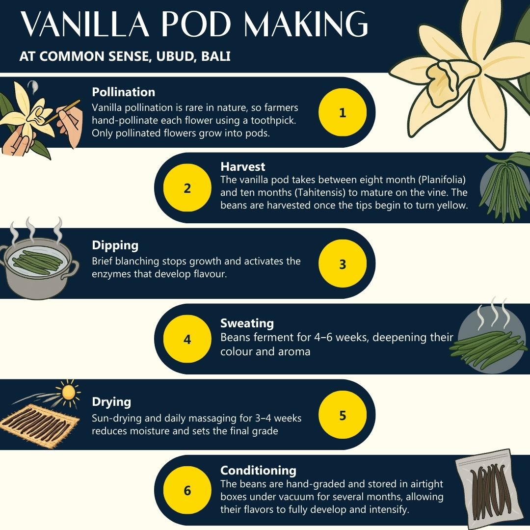 Vanilla Pod Making