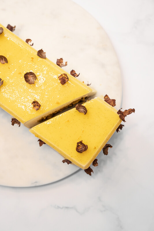 Boiron, dessert, australis food, catalogues