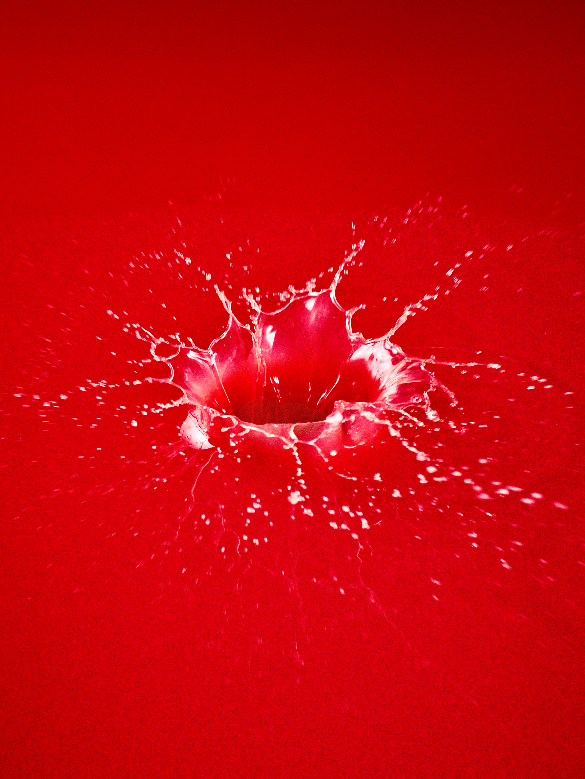 image-orange_sanguine_texture_surgelees_bd_-_rvb-nicolas_lobbestael-8498