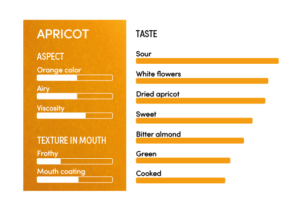 image-profil_sensoriel_abricot_en-11233