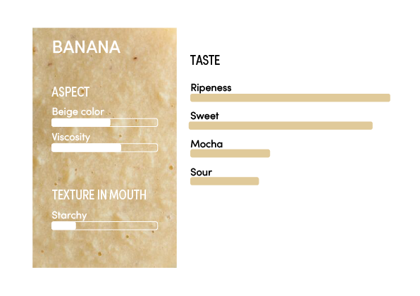 image-profil_sensoriel_banane_en-11237