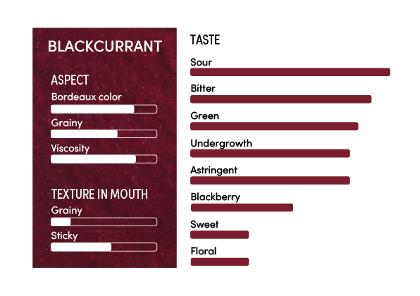 image-profil_sensoriel_cassis_en-11241