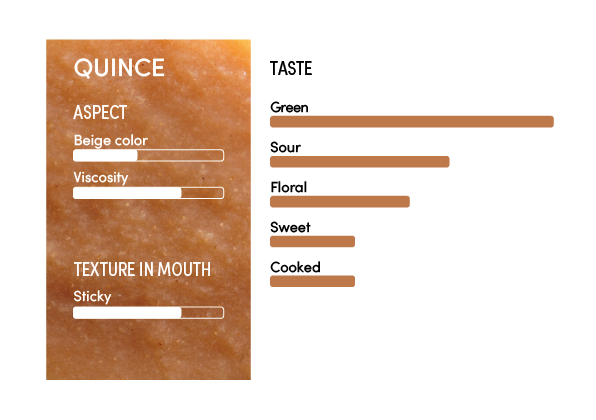 image-profil_sensoriel_coing_en-11249