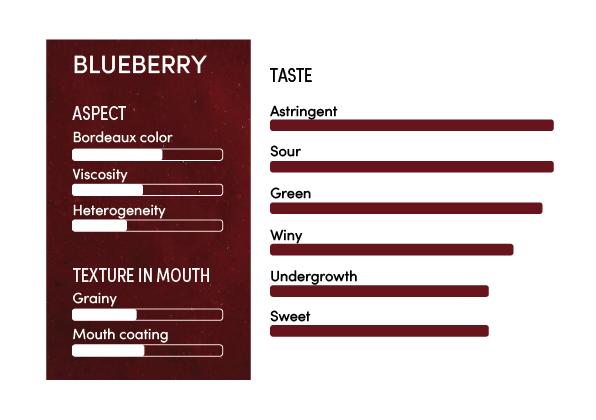 image-profil_sensoriel_myrtille_en-12358