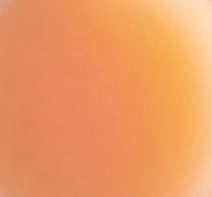 image-texture_puree_surgelee_-_pamplemousse_rose-ginko-251841-800px