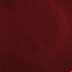 image-wild_blueberry