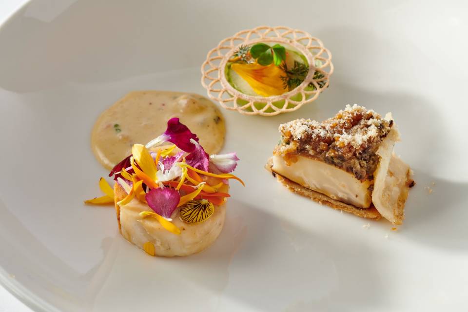 image-475560663_1054198533414628_5062128628565957730_n_0