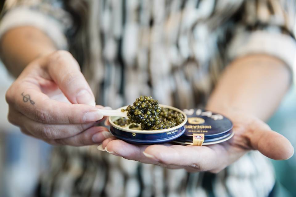 image-Emporium WIM 310124 104