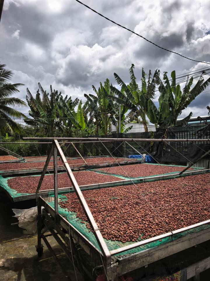 image-1a46d416-8ea0-4617-9e50-8a8451215272