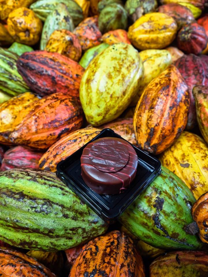 image-22260f74-acca-4624-a29c-ed87acb04b24 2