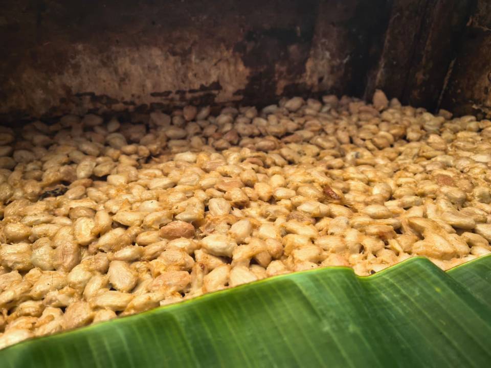 image-28d7b7e8-16e7-462f-84dd-75c4f1b72894