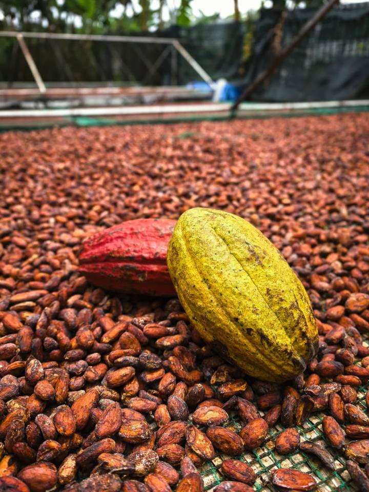 image-2bb434c2-8381-4abd-b55e-da8722583841