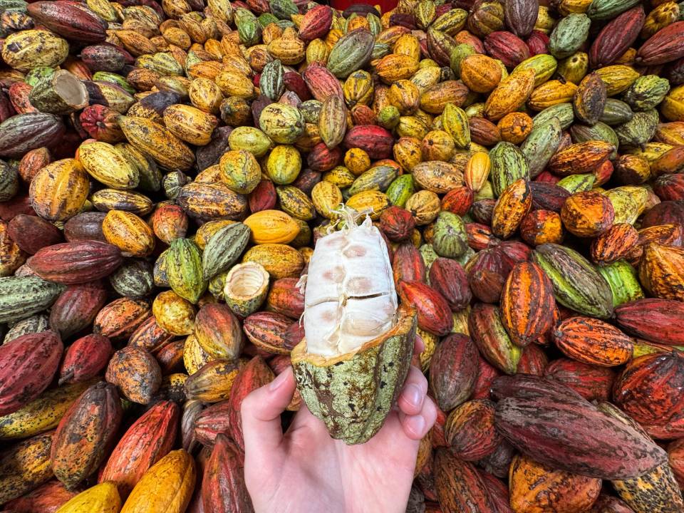 image-4e247cbf-9aeb-4bad-9f62-d1e32b0264b5