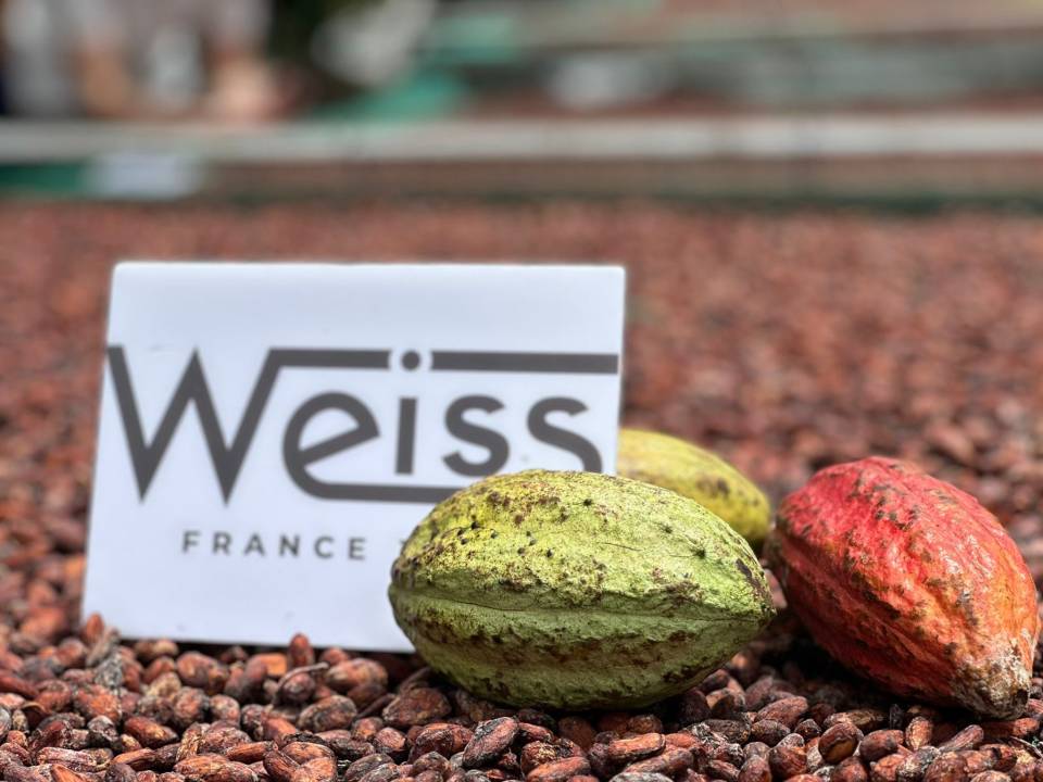 image-5d65355e-38ef-45ef-91ed-032ef4740b59