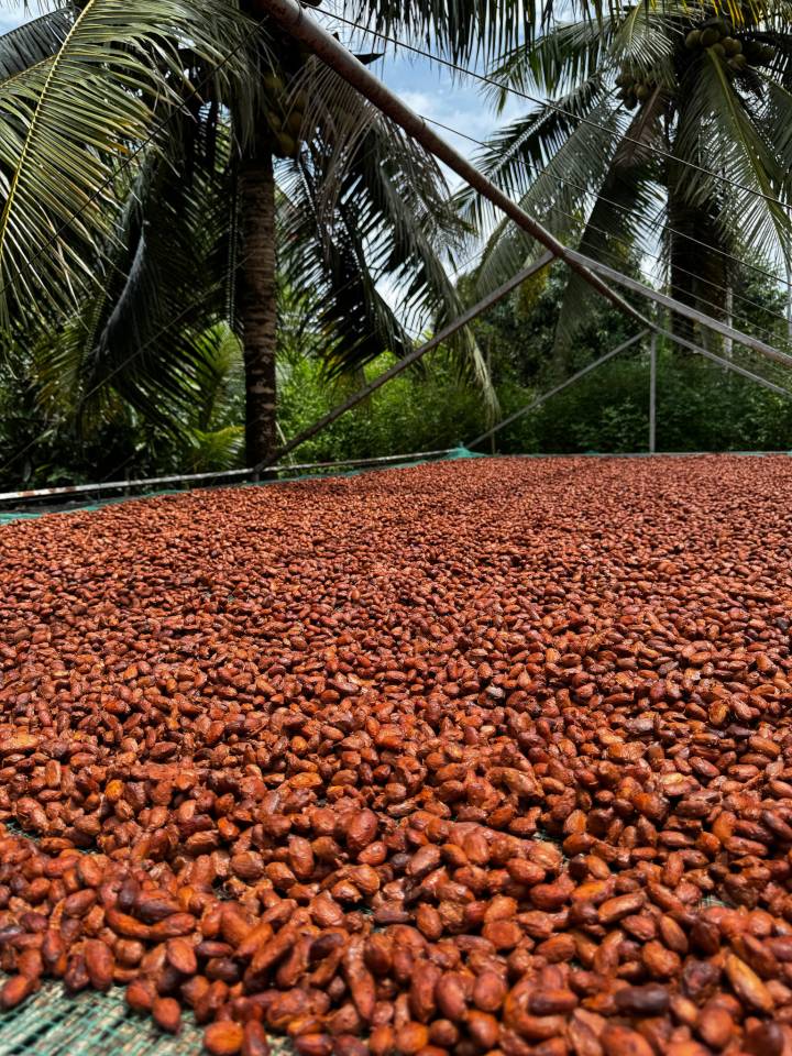 image-6214eeb1-6b48-4418-b647-4068e5ecfdce