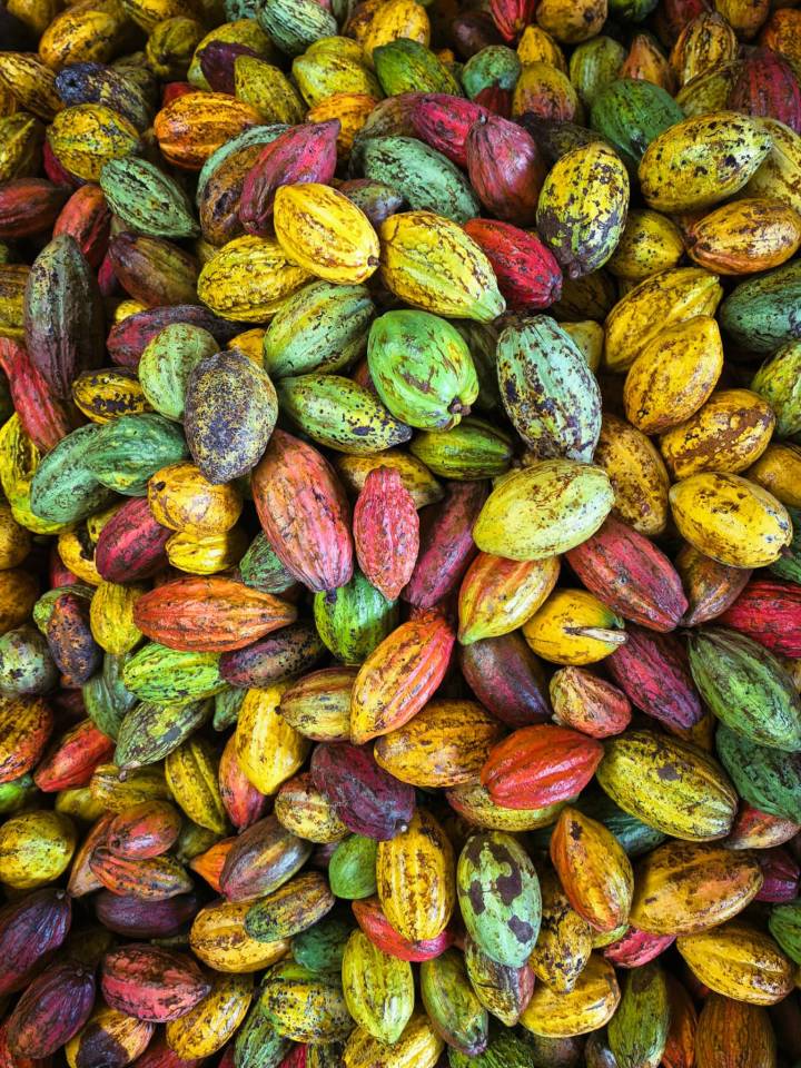 image-6e89b3b0-292d-4df3-9e51-83163fb86661