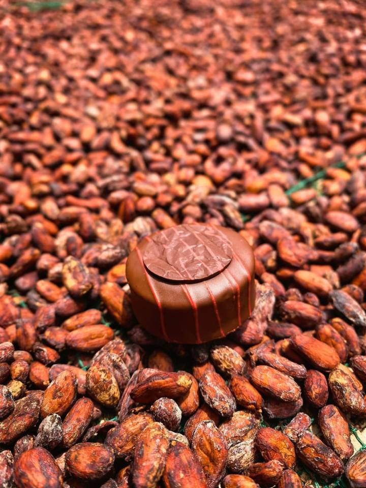 image-71a182d0-9cf3-46eb-a952-eb0b6798fb20