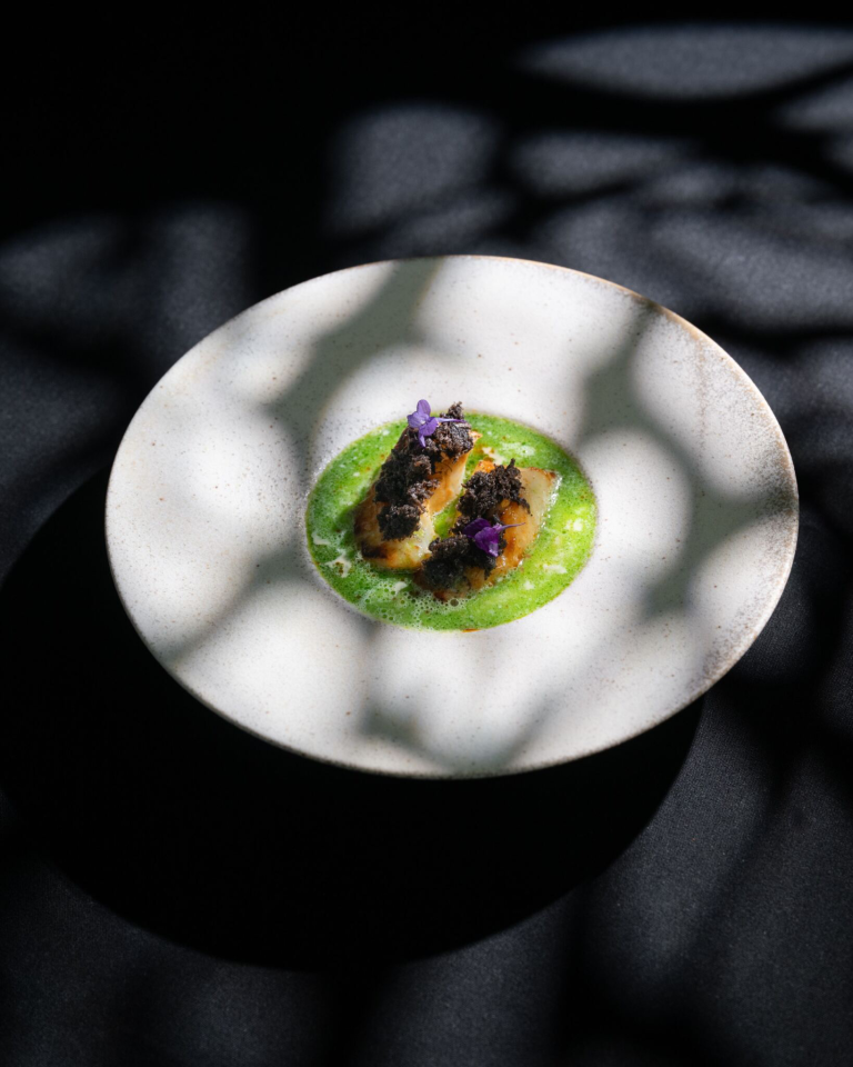 image-Sturia 4 - 2025