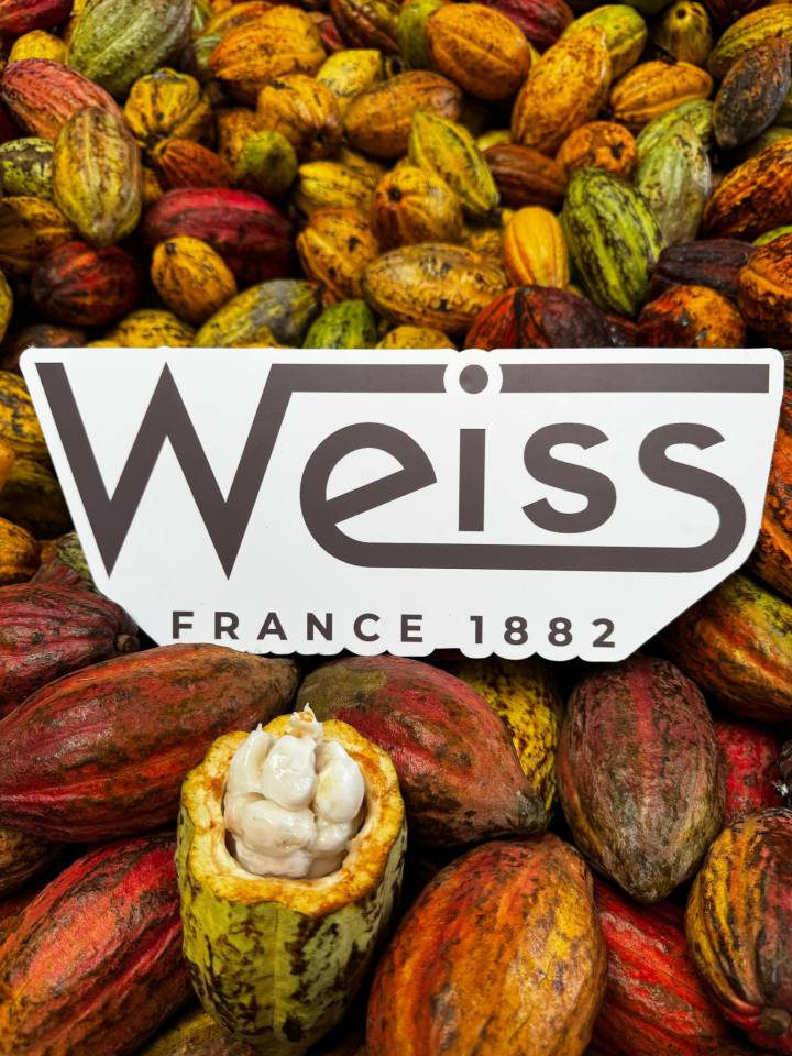 image-a6e8f0ee-c012-4767-9929-1a9d33f88b14