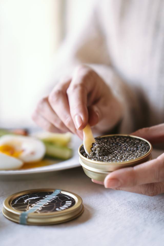 image-sturia00043©AnneClaireHéraud