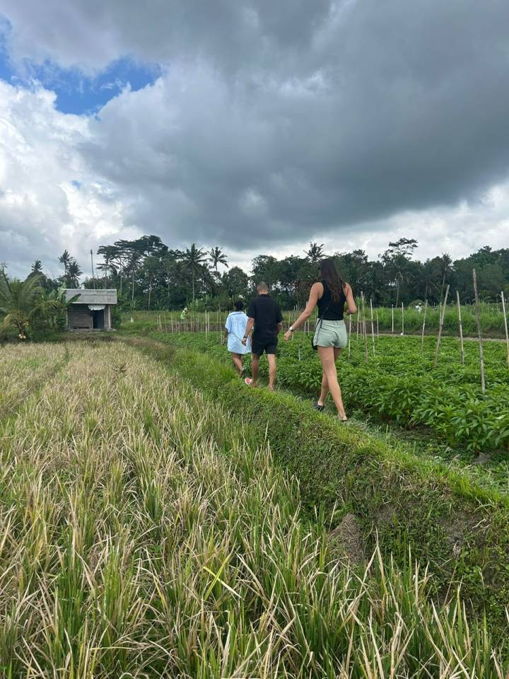 image-7828c29c-6bea-4387-8131-c32ab3eadaee