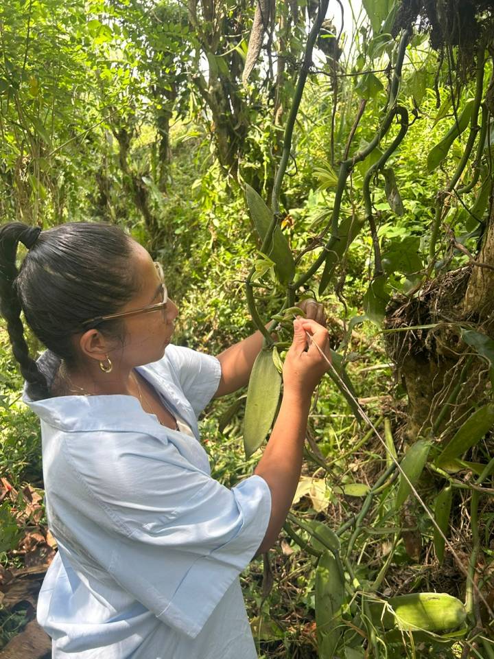 image-a37ca75f-f0f4-4deb-a9e3-1649814844eb