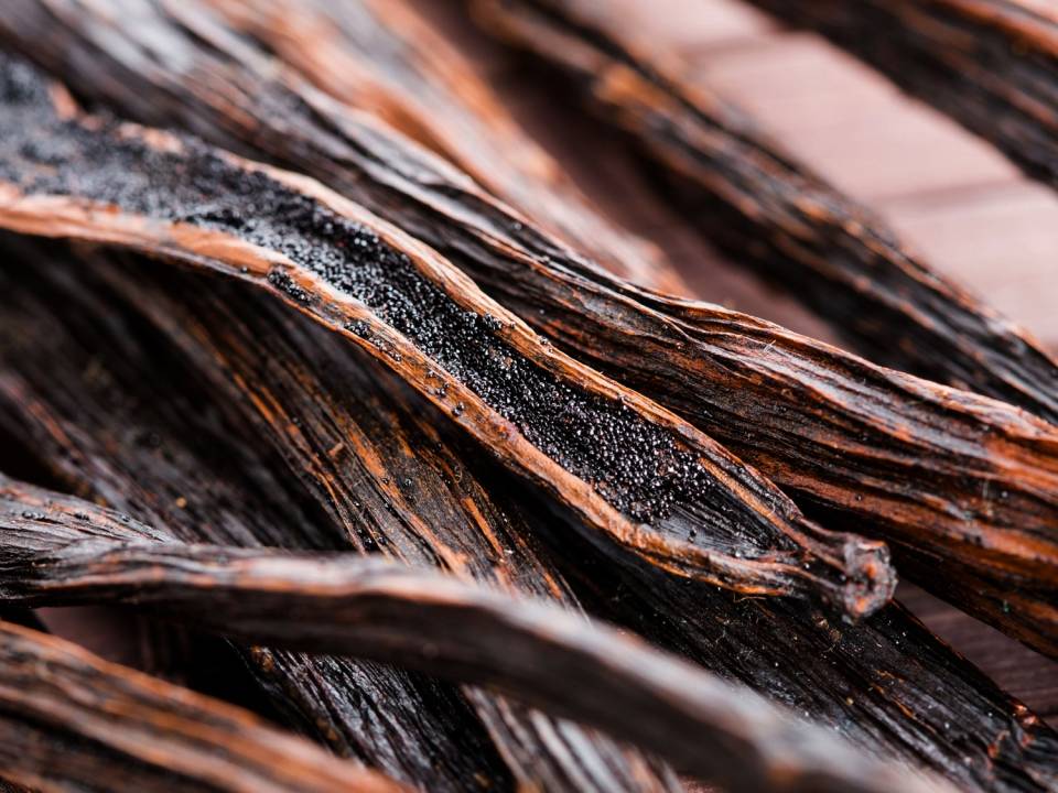 image-vanilla-bean