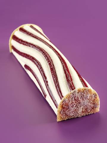 image-buche_borealis_-_purees_surgelees_acai_et_coco_-_corentin_magnin_5-12824