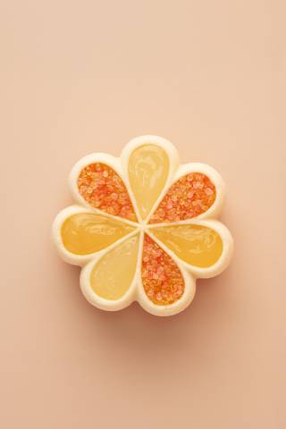 image-lemon_flower_tom_coll-6393