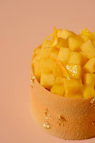 image-mango_cheesecake_tom_coll-6400
