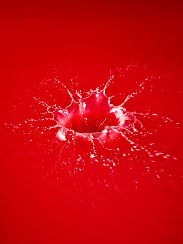 image-orange_sanguine_texture_surgelees_bd_-_rvb-nicolas_lobbestael-8498