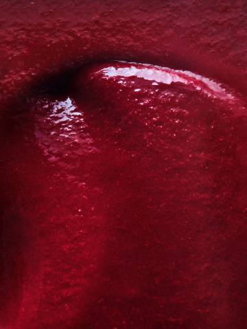 image-photo_corporate_2024_texture_surgelee_griottes-5806