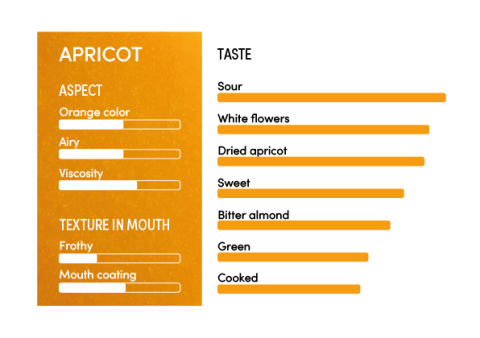 image-profil_sensoriel_abricot_en-11233