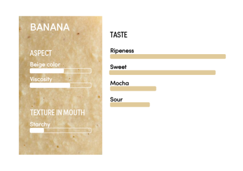 image-profil_sensoriel_banane_en-11237