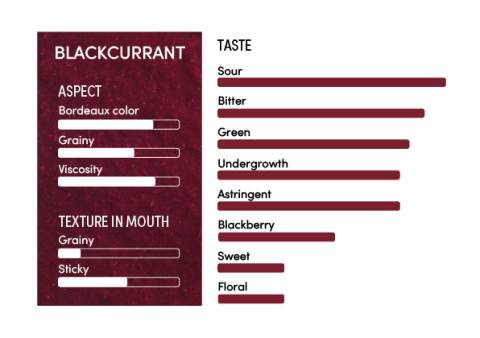 image-profil_sensoriel_cassis_en-11241