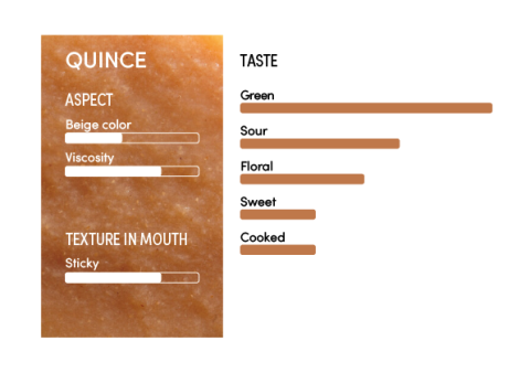 image-profil_sensoriel_coing_en-11249