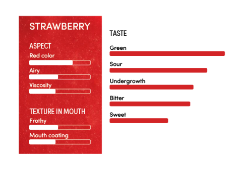 image-profil_sensoriel_fraise_en-11255