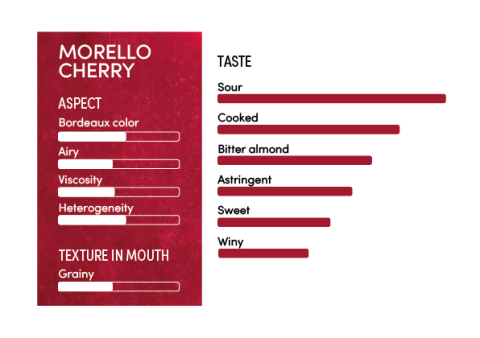 image-profil_sensoriel_griotte_en-11265