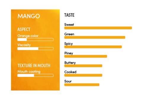 image-profil_sensoriel_mangue_en-11269