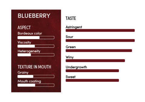 image-profil_sensoriel_myrtille_en-12358