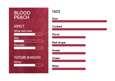 image-profil_sensoriel_peche_de_vigne_en-12419