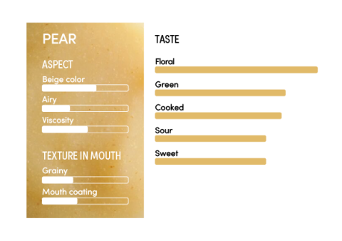 image-profil_sensoriel_poire_en-11271