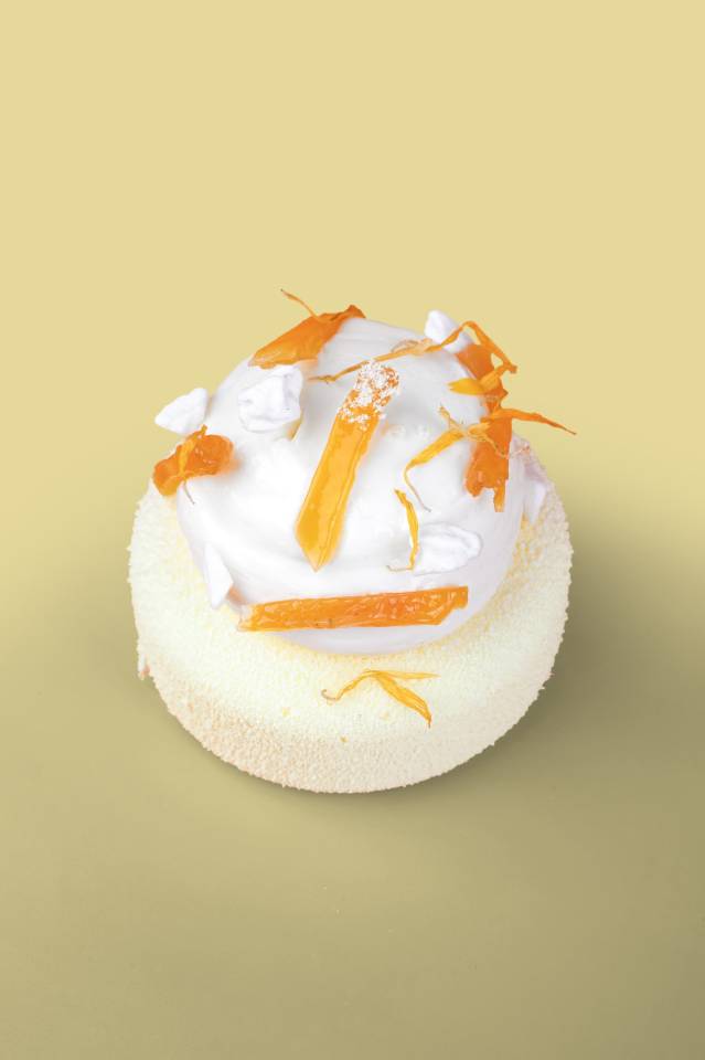 image-BOIRON - AAB0C6 - Puree Apricot 1kg - moodshot (2)