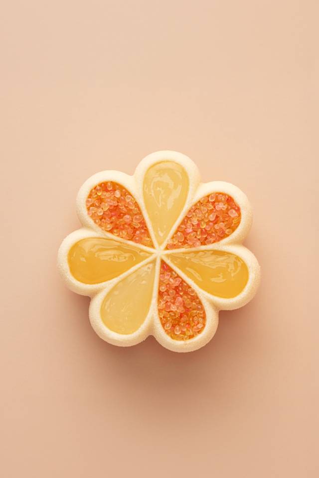 image-BOIRON - ACI0C6 - Puree Lemon 1kg - moodshot (1)