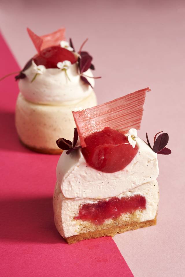 image-prova_gourmet_-_moodshot_-_rhubarbe_entremets_6