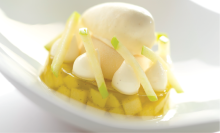 moleculars_and_sugars