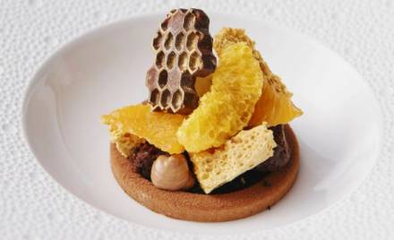 freeze_dried wholesale